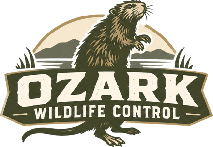 Ozark Wildlife Control