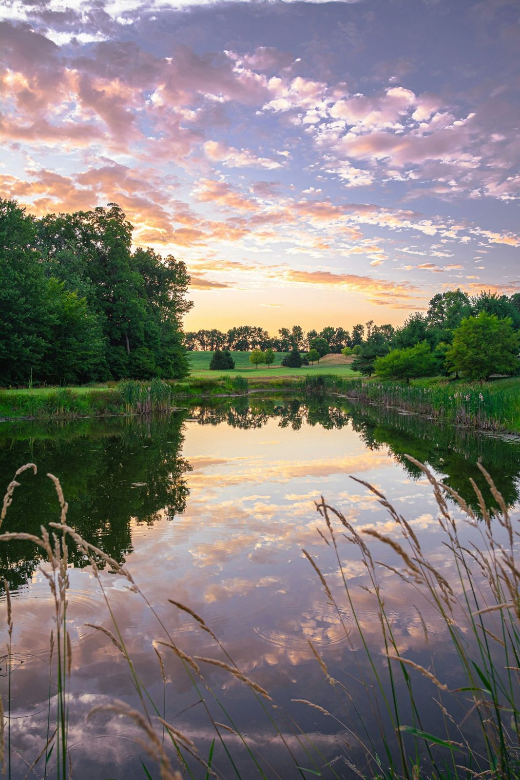 Ozarks pond at sunset