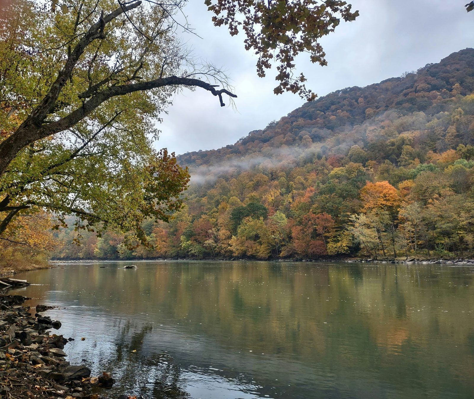 Wooded Ozarks hills in autumn